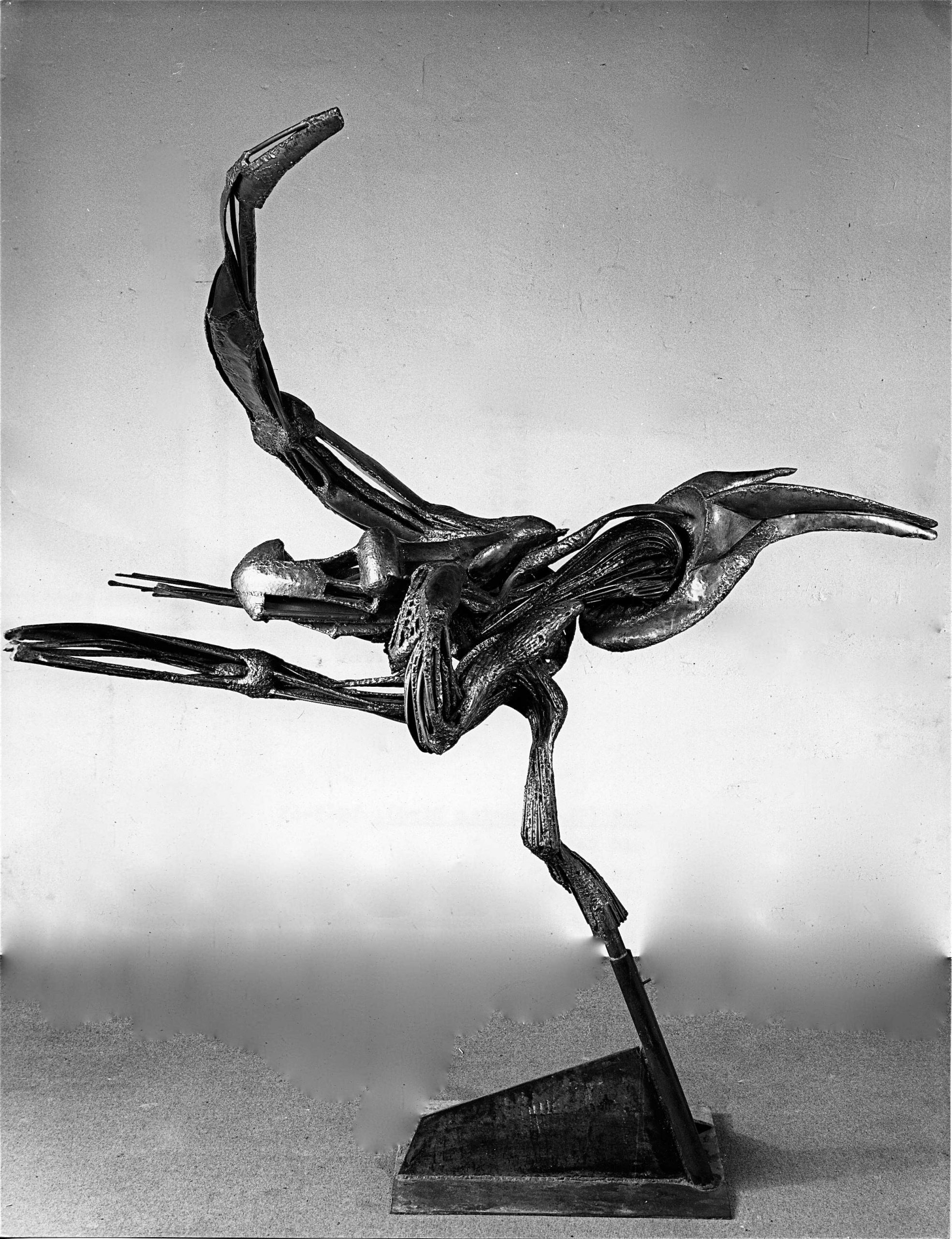 L-oiseau-dansant-02