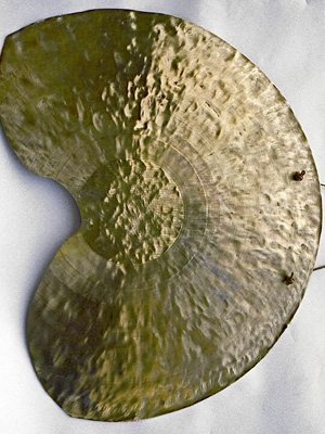 Wounded Cymbal
